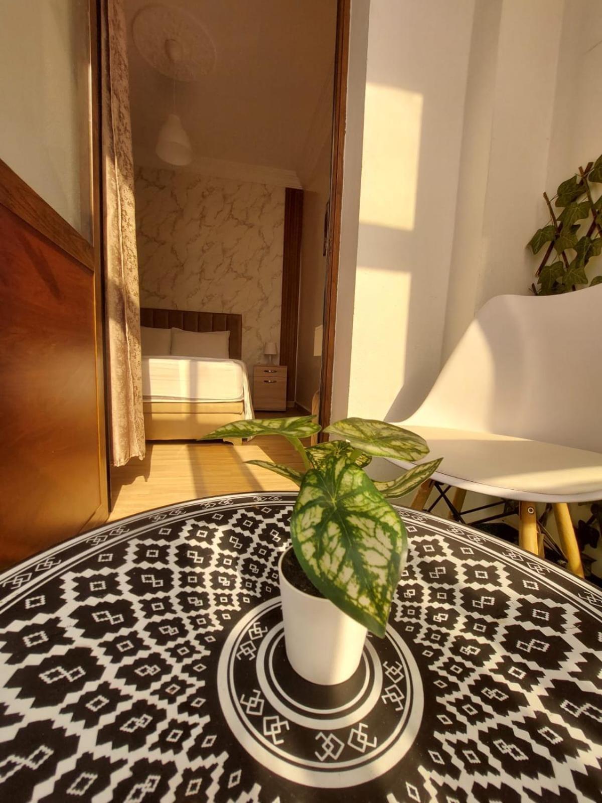 Charite Host Appartement , Wifi Et Parking Gratuit 阿加迪尔 外观 照片